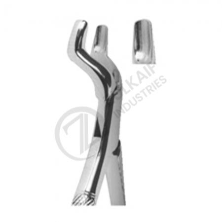 Extracting Forceps American