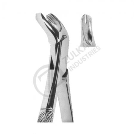 Extracting Forceps American