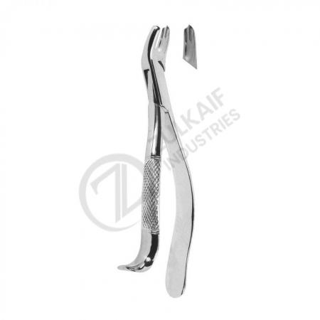 Extracting Forceps American